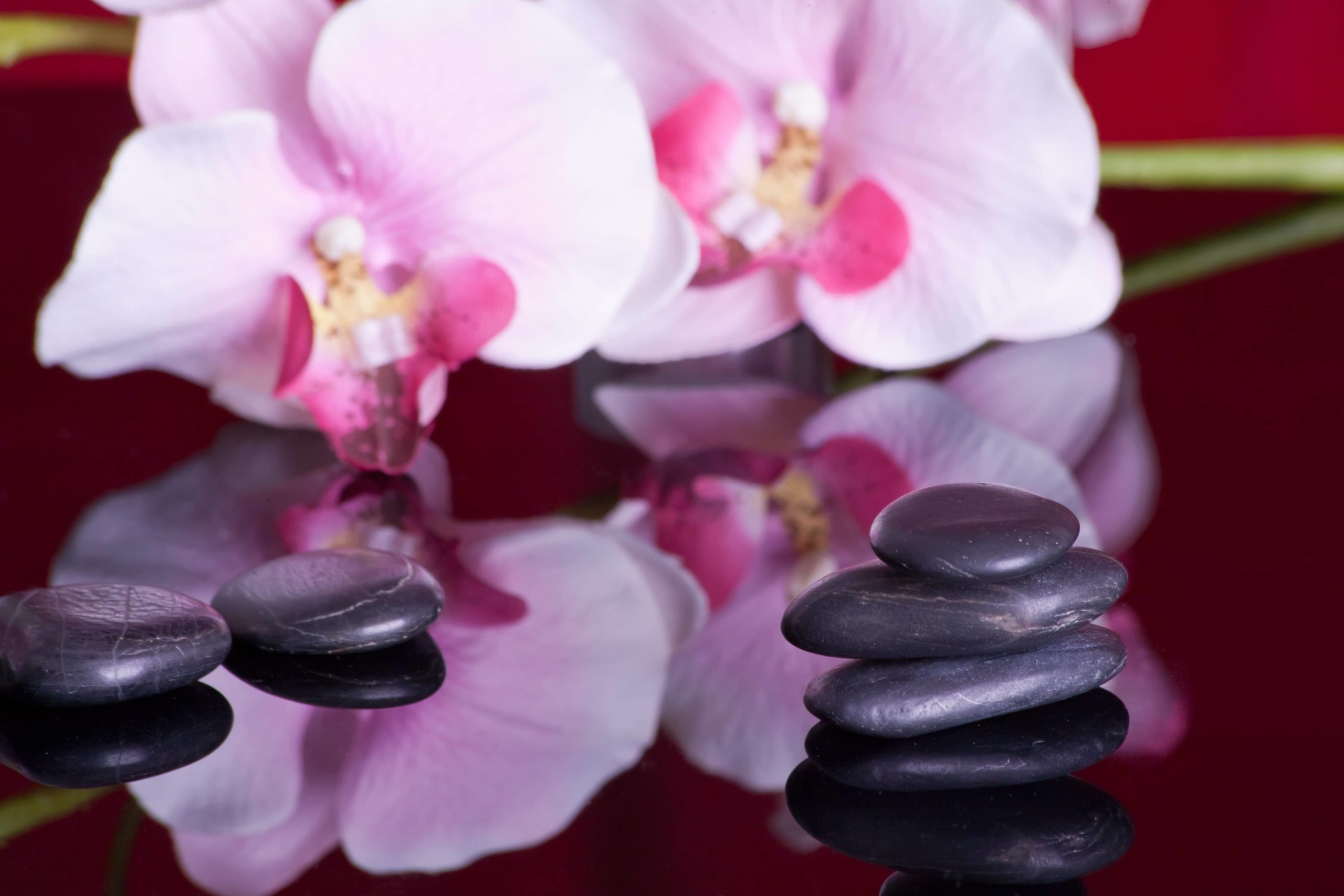 Astuces Beauté & Amincissement